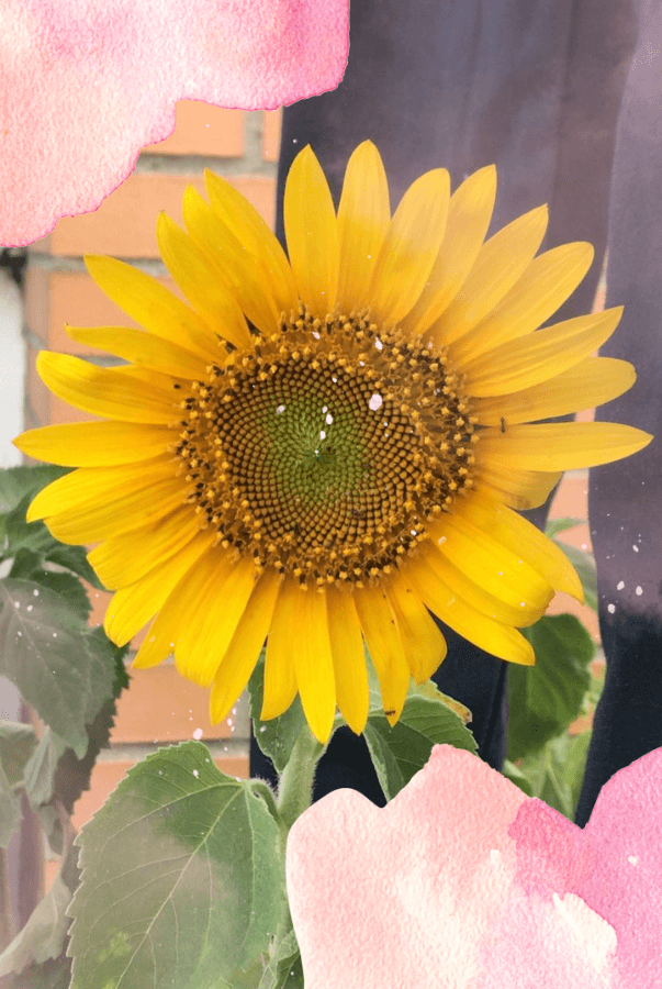 É Primavera